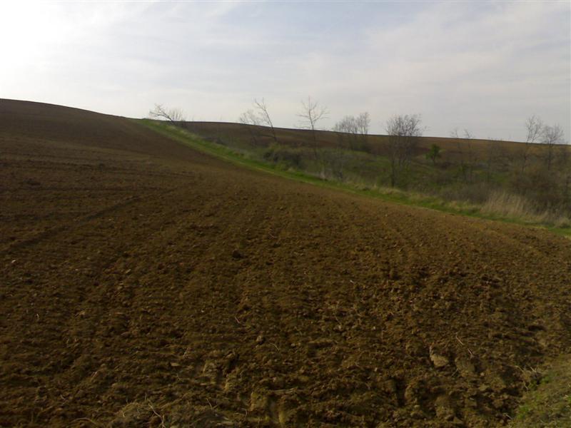 200704091747 .jpg